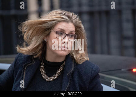 London, Großbritannien. 15. Januar 2019, kommt an einer Kabinettssitzung am 10 Downing Street, London Quelle: Ian Davidson/Alamy leben Nachrichten Stockfoto