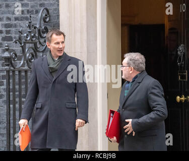 London, Großbritannien. 15. Januar 2019, Jeremy Hunt MP PC, Außenminister (links), hinterlässt eine Kabinettssitzung in Downing Street 10, London, UK. Kredit Ian Davidson/Alamy leben Nachrichten Stockfoto