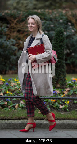 Downing Street, London, UK. 15. Januar 2019. Elizabeth Truss, Chief Secretary, Schatzamt in Downing Street für die wöchentliche Kabinettssitzung. Credit: Malcolm Park/Alamy Leben Nachrichten. Stockfoto