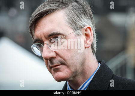 Westminster, London, UK, 15. Jan 2019, Jakob Rees-Mogg, MP, konservativ. Politiker in College Green, Westminster und um die Häuser des Parlaments, der auf den Tag der entscheidenden Abstimmung über Theresa's kann Brexit beschäftigen. Credit: Imageplotter Nachrichten und Sport/Alamy leben Nachrichten Stockfoto