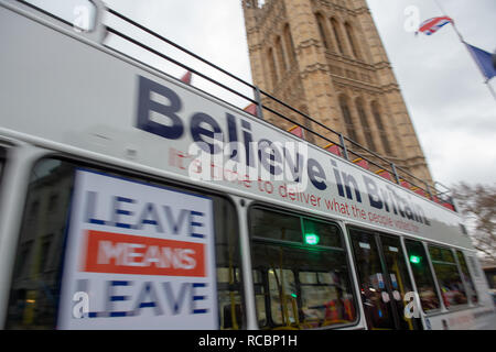 London, Vereinigtes Königreich. 15. Januar 2019. Die Demonstranten versammeln sich außerhalb der Häuser des Parlaments vor der kritischen Brexit stimmen. Credit: Peter Manning/Alamy leben Nachrichten Stockfoto