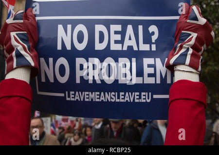 London UK 15 Jan 2019 Anti-Brexit Demonstrant demonstrieren vor dem Parlament in Westminster. Die Demonstranten versammeln sich auf den Tag des historischen sinnvolle Abstimmung wie der britische Premierminister, Theresa May, Unterhaus, um die Abgeordneten davon zu überzeugen, ihr Angebot zu Brexit zurück geht. Credit: Thabo Jaiyesimi/Alamy leben Nachrichten Stockfoto