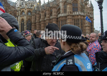 London, Vereinigtes Königreich. 15. Januar 2019. Eine Demonstrantin argumentiert mit Polizisten zusammen mit anderen Demonstranten, die außerhalb der Häuser des Parlaments vor der kritischen Brexit Stimmen gesammelt haben. Credit: Peter Manning/Alamy leben Nachrichten Stockfoto