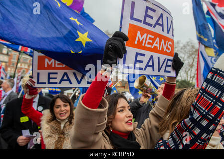 London, Großbritannien. 15. Januar, 2019. Verlassen bedeutet verlassen und SODEM, pro EU, Demonstranten weiterhin ihre Punkte, Seite an Seite zu machen, außerhalb des Parlaments, wie die Abstimmung über Theresa's kann Plan soll am nächsten Tag. Credit: Guy Bell/Alamy leben Nachrichten Stockfoto