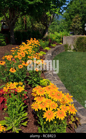 Bunte Blume Bett in einem Sommer Park Stockfoto