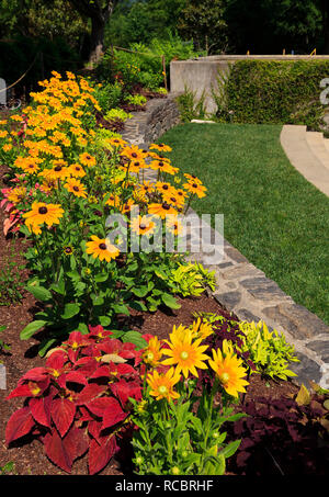 Bunte Blume Bett in einem Sommer Park Stockfoto