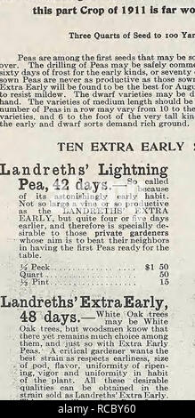 . D. Landreth Seed Company: [Katalog]. Baumschulen (Gartenbau); Baumschulen; Blumen; Samen; Gemüse; Saatgut Industrie und Handel; Landreth, D. Seed Company; Samen; Blumen; Samen; Gemüse; Samen; Saatgut Industrie und Handel; Industrie und Handel. Samen, WELCHE FOLGEN DIESE PREISE BEINHALTEN NICHT die Versandkosten. Erbsen - fortgesetzt.. Bitte beachten Sie, dass diese Bilder sind von der gescannten Seite Bilder, die digital für die Lesbarkeit verbessert haben mögen - Färbung und Aussehen dieser Abbildungen können nicht perfekt dem Original ähneln. extrahiert. Landreth, D. Seed Company. Bristol, PA Bloomsdale, P Stockfoto