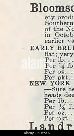 . D. Landreth Seed Company: [Katalog]. Baumschulen (Gartenbau); Baumschulen; Blumen; Samen; Gemüse; Saatgut Industrie und Handel; Landreth, D. Seed Company; Samen; Blumen; Samen; Gemüse; Samen; Saatgut Industrie und Handel; Industrie und Handel. Samen, DIE ERFOLGREICH CABBAGEâContinued. Diese Preise enthalten Versandkosten. BLOOMSDALE GROSSE Ende flach Niederländische. âOriginally vom Schwedischen gar gewonnen - deners, die in Philadelphia zurück, die auf dem revolutionären Krieg nieder. Die Sorte ist spät, große, solide und sehr gewichtiges und Uniform. Wir empfehlen diese als bestimmte Schneidwerk für diejenigen, die eine große erfordern, Stockfoto