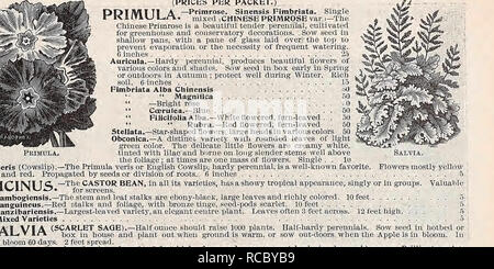 . D. Landreth Seed Company: [Katalog]. Baumschulen (Gartenbau); Baumschulen; Blumen; Samen; Gemüse; Saatgut Industrie und Handel; Landreth, D. Seed Company; Samen; Blumen; Samen; Gemüse; Samen; Saatgut Industrie und Handel; Industrie und Handel. Zu B! Zufrieden UM VON LANDRETH. Abbildung: DER PROZESS DER VORBEREITUNG AxN SPARGEL BETT. In diesem Fall gibt es drei Gräben fünf Meter auseinander und 24 Zentimeter tief, jeder Graben in einer Tiefe von acht Zoll gut gefüllt - Verrotteten Stallmist, die Wurzeln auf der Oberseite der Gülle in den Boden der Gräben auf achtzehn Zoll platziert ein Stockfoto