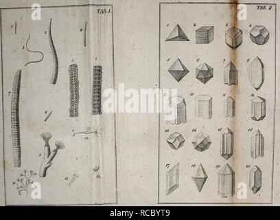 . D. in Joh. Die Fried. Blumenbach ist Prof. zu Göttingen und Königl. Grossbrit. Hofraths Handbuch der Naturgeschichte. Natural History. . Bitte beachten Sie, dass diese Bilder sind von der gescannten Seite Bilder, die digital für die Lesbarkeit verbessert haben mögen - Färbung und Aussehen dieser Abbildungen können nicht perfekt dem Original ähneln. extrahiert. Blumenbach, Johann Friedrich, 1752-1840; Richmond, Charles Wallace, 1868-1932, der ehemalige Eigentümer. DSI; Juel, A.G., der ehemalige Eigentümer. DSI. Göttingen, Heinrich Dieterich Stockfoto