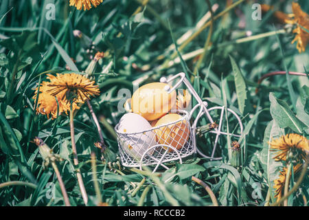 Coloful dekorative Ostereier in einer Miniatur Fahrrad Korb, gelber Löwenzahn Wiese blühen im Frühling Stockfoto