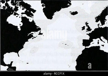 . Die Vielfalt der Meere: Der regionale Ansatz. WCMC Biodiversität Serie 4. NORTH ATLANTIC Belgien, Bermuda, Kanada, Dänemark, Estland, Färöer, Finnland; Frankreich; Deutschland; Grönland; Island; Irland; Lettland; Litauen; Marokko; Niederlande; Norwegen; Polen; Portugal; Russische Föderation; Spanien; Schweden; USA; Großbritannien dieser Meeresregion nicht innerhalb einer bestehenden regionalen Meere und hat hier Für die Zwecke dieses Dokuments definiert.. Großen marinen Ökosysteme gibt es vierzehn LMEs ganz innerhalb der Nordatlantischen Region: Südosten uns Continental Shell, dem Nordosten der USA Continental Stockfoto