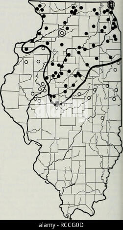 . Die Verteilung der periodischen Zikaden in Illinois. Periodische Zikaden. 10 Alle 65 oder 78 Jahre bei einem Teil der gesamten Palette der Großen südlichen Brüten in Ilhnois, aber nur einmal alle 221 Jahre am jeweiligen Ort. Eine begrenzte Anzahl von Exemplaren dieser Brut wurden in die zwillingsstädte Champaign-Urbana in 1959 und 1972 gesammelt. Sie wurden sogar in jenen Teilen der Städte, die sich ursprünglich Prärie oder Land weniger als 25-.50 Jahre zuvor, aber die sind nun besetzt mit Bäumen angebaut. Auch mäßiger Gesang wurde durch die zuständigen Beobachter in diesen beiden Jahren gehört. Es wird Stockfoto