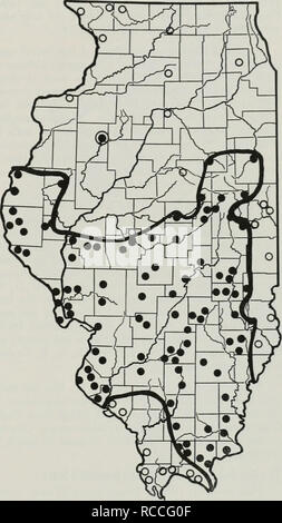 . Die Verteilung der periodischen Zikaden in Illinois. Periodische Zikaden. in Urbana und Champaign County, auf einem liriodendron Baum, eine nicht-heimischen Baum, gepflanzt es 8 Jahre Vorjahr. 17 Jahre zuvor im Jahr 1953 bei dieser Brut entstanden, ein nachzuegler wurde auch in Urbana von Dr. R. J. Dysart am 12. August gefunden. Trotz der spärlichen Aufzeichnungen in Champaign County ist es möglich, dass die Großen Östlichen Brut aufgetreten ist und weiterhin in kleinen Zahlen in den großen Hain von Urbana und Champaign County im Osten sollten in der Liste der Grafschaften, bewohnt von dieser Brut enthalten sein. Die 17-jährige Großen Östlichen Stockfoto