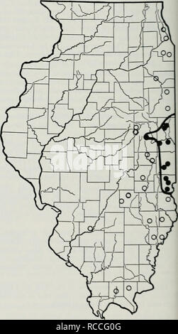 . Die Verteilung der periodischen Zikaden in Illinois. Periodische Zikaden. 8 Fulton County, bis Juni 28 in De Witt County. Sing-ing wurde bis zum 28. Juni hörte, auch in De Witt County und kennzeichnende (welke Zweige, die im Ei girdled waren - Verlegung) auf dem gleichen Datum in dem County wurde festgestellt. Anscheinend diese Brut ist disjunct in Illinois, die westlichen Grafschaften, die er bewohnt, Braun, Fulton, Henderson, Knox, McDonough, Schuyler, und Warren und den östlichen Grafschaften, Champaign. De Witt und Piatt. Intei - Vening Grafschaften, besonders Logan und Mason, offenbar nicht zu haben populati Stockfoto