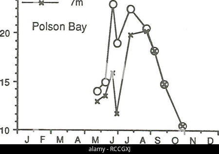 . Verbreitung und Häufigkeit von Zooplankton und Mysis relicta in Flathead Lake. Mysis relicta; Zooplankton. 25 - [JFMAMJJASOND Monat Oberfläche - * - 7 m w. Monat Abbildung 24. Saisonale Fülle der dominanten Macrozooplankton an Gift Bucht und Mid-Lake tief Stationen in Flathead Lake im Jahr 1988. Dichte aufweisen, MLD wurden durch Addition der inkrementellen 10 m Hols ab 20 m an die Oberfläche berechnet. Dichte aufweisen, die Gift Bucht wurden von unten (6m) Hols auf der Oberfläche berechnet.. Bitte beachten Sie, dass diese Bilder aus gescannten Seite Bilder, die digital für die Lesbarkeit erhöht worden sein können extrahiert werden - Färbung eine Stockfoto