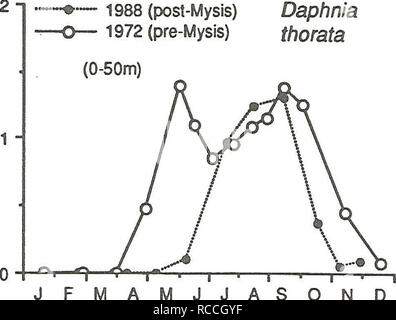 . Verbreitung und Häufigkeit von Zooplankton und Mysis relicta in Flathead Lake. Mysis relicta; Zooplankton. . E W CD-p) 1988 (post-Mysis) 1972 (pre-Mysis) Daphnia thorata. MJJASOND Monat Abbildung 12. Saisonale Fülle der Daphnien thorata 1972 (offene Symbole) und 1988 (geschlossene Symbole) an der Mid-Lake Deep station in Flathead Lake. Dichten wurden durch Addition der inkrementellen 10 m Hols ab 50 m an die Oberfläche berechnet. w. Bitte beachten Sie, dass diese Bilder aus gescannten Seite Bilder, die digital für die Lesbarkeit verbessert haben mögen - Färbung und Aussehen dieser Abbildungen extrahiert werden kann Stockfoto