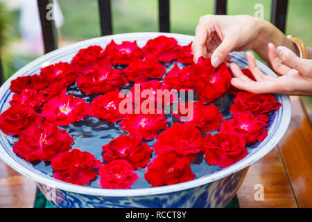 Traditionelle asiatische Thailändische Architektur Interior Design: Eingerichtet mit handgefertigten Keramik Porzellan Schüssel blühende rote Rose Garten Blumen Kunst auf Wasser, ad Stockfoto