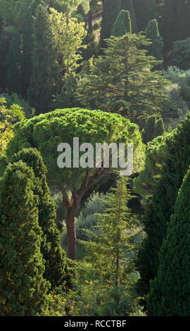 Gemanschaftes Villa Gärten (Giardini della Villa Comunale), Taormina, Sizilien, Italien Stockfoto
