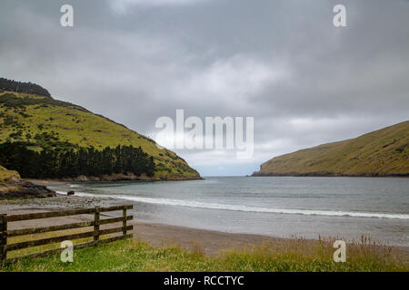 Pohatu Marine Reserve, Flea Bay, Canterbury, Neuseeland Stockfoto