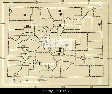 . Verteilung der Säugetiere in Colorado. Säugetiere. 50 Monographie Museum of Natural History Nr. 3 (KU); 1 1/2 mi. S, 8 mi E Skyway, 9500 ft., 1 (KU); 2 mi. S, 8 mi. E Skyway, 9000 ft., 2 (KU); 2 1/2 mi. S, 8 mi. E Skyway, 9600 ft., 2 (KU). GUNNISON COUNTY: Gothic 4 (2 UNM, 2 USNM); in der Nähe des Gotischen, 1 (UMMZ); in der Nähe von Beckwith Pass, 2 (UNM); Almont, 2 (USNM); 33 mi. W Gunnison, 1 (CM). CHAFFEE COUNTY: St. Elmo, 10.100 ft., 4 (USNM); Poncha Creek, 10 mi. SW Salida, 8500 ft., 3 (KU). TELLER COUNTY: 10 mi. N Florissant, 8900 ft., 2 (FWS). EL PASO COUNTY: Minne - haha, 3 (UMMZ); Lake Moraine, 2 (1 CSU 1 MCZ). Stockfoto