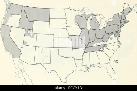 . Verbreitungskarten von einige Schädlinge in den Vereinigten Staaten. Schadinsekten United States; Schädlinge Karten. - 22 - OBST INSEKTEN Panonychus ulmi (europäische Rote Vogelmilbe). Psylla psylla pyricola (pear). Bitte beachten Sie, dass diese Bilder sind von der gescannten Seite Bilder, die digital für die Lesbarkeit verbessert haben mögen - Färbung und Aussehen dieser Abbildungen können nicht perfekt dem Original ähneln. extrahiert. In den Vereinigten Staaten. Anlage Pest Control. [Washington, Pest Control Division, Landwirtschaftliche Forschung Service] Stockfoto