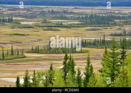 Salinen von der übersehen, Wood Buffalo National Park, Alberta, Kanada Stockfoto