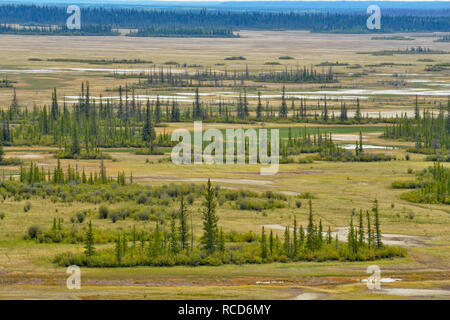 Salinen von der übersehen, Wood Buffalo National Park, Alberta, Kanada Stockfoto