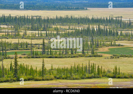 Salinen von der übersehen, Wood Buffalo National Park, Alberta, Kanada Stockfoto