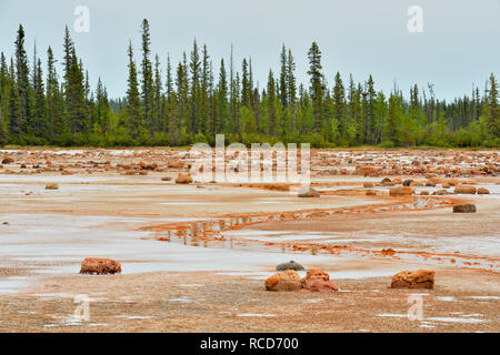 Salt Flats im Grosbeak See - mit Salz - geätzt Findlinge, Wood Buffalo National Park, Albert, Kanada Stockfoto