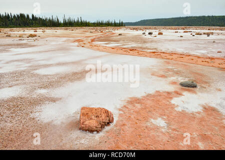 Salt Flats im Grosbeak See - mit Salz - geätzt Findlinge, Wood Buffalo National Park, Albert, Kanada Stockfoto