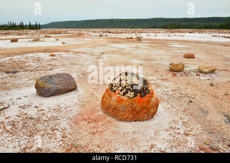 Salt Flats im Grosbeak See - mit Salz - geätzt Findlinge, Wood Buffalo National Park, Albert, Kanada Stockfoto