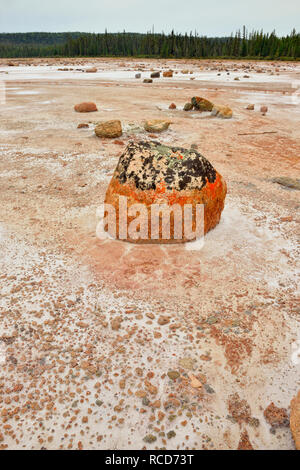 Salt Flats im Grosbeak See - mit Salz - geätzt Findlinge, Wood Buffalo National Park, Albert, Kanada Stockfoto