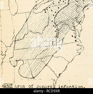 . Krankheiten aus Baumwolle, Zuckerrohr, Wald, Bäume, Zierpflanzen und verschiedene Pflanzen in den Vereinigten Staaten im Jahre 1919. Fibre Pflanzen Krankheiten und Schädlinge United States; Zucker Pflanzen Krankheiten und Schädlinge United States; Bäume Krankheiten und Schädlinge United States; Pflanzen, Zierpflanzen Krankheiten und Schädlinge in den Vereinigten Staaten. Bereich der allgemeinen] Infektion. ? FSpot Infektion. Allgemeine Reihe von Kastanie.. Bitte beachten Sie, dass diese Bilder sind von der gescannten Seite Bilder, die digital für die Lesbarkeit verbessert haben mögen - Färbung und Aussehen dieser Abbildungen können nicht perfekt dem Original ähneln. extrahiert. Mart Stockfoto