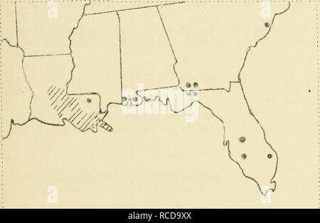 . Krankheiten aus Baumwolle, Zuckerrohr, Wald, Bäume, Zierpflanzen und verschiedene Pflanzen in den Vereinigten Staaten im Jahre 1919. Fibre Pflanzen Krankheiten und Schädlinge United States; Zucker Pflanzen Krankheiten und Schädlinge United States; Bäume Krankheiten und Schädlinge United States; Pflanzen, Zierpflanzen Krankheiten und Schädlinge in den Vereinigten Staaten. Rot Rot und roten Streifen wurden aus Georgia, Florida, Alatama, Louisiana und Texas berichtet. In Louisiana die Krankheit weit verbreitet war. In atundant Alatama es war. Grube.. 5*^. Zeigt die Lage der Gebiete, die von rot rot im südlichen Zuckerrohr Gürtel. Ummantelung Sclerotium rolfsii rot, verursacht durch Sacc,. Ummantelung rot ist Stockfoto