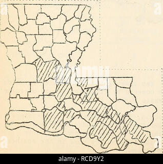 . Krankheiten aus Baumwolle, Zuckerrohr, Wald, Bäume, Zierpflanzen und verschiedene Pflanzen in den Vereinigten Staaten im Jahre 1919. Fibre Pflanzen Krankheiten und Schädlinge United States; Zucker Pflanzen Krankheiten und Schädlinge United States; Bäume Krankheiten und Schädlinge United States; Pflanzen, Zierpflanzen Krankheiten und Schädlinge in den Vereinigten Staaten. Die am stärksten infes - ted großen Bereich in Louisiana und folglich in der Uiiited Staaten, ist zwischen Hutcher und finden, wo 75% der Pflanzen auf jedem Planta- angesteckt wurden. Die Höhe reichte von 4-30% aus diesem Bezirk nach New Orleans und von New Orleans nach der unteren Extremität. Stockfoto