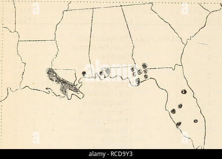 . Krankheiten aus Baumwolle, Zuckerrohr, Wald, Bäume, Zierpflanzen und verschiedene Pflanzen in den Vereinigten Staaten im Jahre 1919. Fibre Pflanzen Krankheiten und Schädlinge United States; Zucker Pflanzen Krankheiten und Schädlinge United States; Bäume Krankheiten und Schädlinge United States; Pflanzen, Zierpflanzen Krankheiten und Schädlinge in den Vereinigten Staaten. 285. Die am stärksten infes - ted großen Bereich in Louisiana und folglich in der Uiiited Staaten, ist zwischen Hutcher und finden, wo 75% der Pflanzen auf jedem Planta- angesteckt wurden. Die Höhe reichte von 4-30% aus dem Bezirk zu New Orleans und aus New Orleans in den unteren Extrem Stockfoto