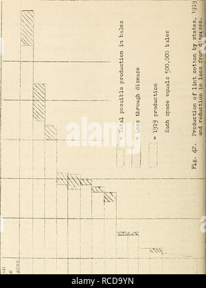 . Krankheiten aus Baumwolle, Zuckerrohr, Wald, Bäume, Zierpflanzen und verschiedene Pflanzen in den Vereinigten Staaten im Jahre 1919. Fibre Pflanzen Krankheiten und Schädlinge United States; Zucker Pflanzen Krankheiten und Schädlinge United States; Bäume Krankheiten und Schädlinge United States; Pflanzen, Zierpflanzen Krankheiten und Schädlinge in den Vereinigten Staaten. CO-CD CO Cd - H3O H3 KTN^ rH-CD o o o. • H o l - P O I O - Q 3 4 J 3 0>-P; O rH-H, Cr> Q cvj^ rH •=^ 00 z.b. ci-kS-Tsf >> crjv c>-â ¢ Mi-4-4-I O^^^ Ich 1 1 CD! - P-CD 1 cS5-." O CO 4 -> w-o: c/l CO ein. Bitte beachten Sie, dass diese Bilder aus gescannten Seite Bilder extrahiert werden t Stockfoto