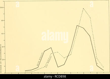 . Entdeckung berichten. Discovery (Schiff); Wissenschaftliche Expeditionen; Ocean; Antarktis; Falkland Inseln. Äußere Zeichen der BLAUWALE 309. . 6 7 8 %-WERT DER MESSUNG Abb. 45. Stecker, Blau- und Finnwale. Variationen der Messung Nr. 13. Anus zu reproduktiven Aperture. (Wale in allen Größen.) 100 - 80 - 60 - 1 -40 -///li 1 00 // &Lt;S2O - 0 1//s y // vN 1 &Lt;1. n 2 3+ prozentuale WERT DER MESSUNG Abb. 46. Blauwale. Variationen der Messung Nr. 15. Rückenflosse, Länge, die an der Basis. (Wale in allen Größen.) Männer. Frauen.. Bitte beachten Sie, dass diese Bilder aus gescannten extrahiert werden Stockfoto