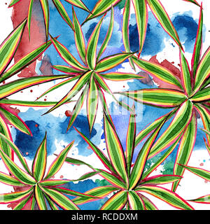 Dracaena marginata Trikolore. Aquarell Hintergrund Abbildung. Nahtlose Muster. Stockfoto