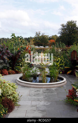 Wasserspiel in der exotische Garten an der RHS Wisley Stockfoto