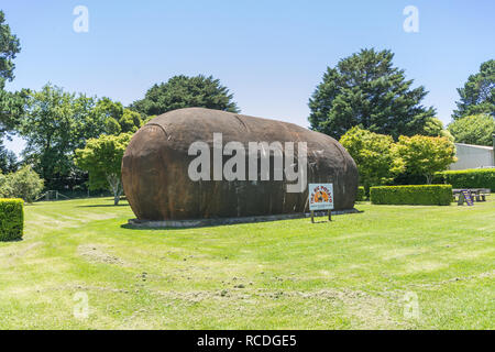 Grosse Kartoffel im Robertson New South Wales Australien Stockfoto