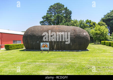 Grosse Kartoffel im Robertson New South Wales Australien Stockfoto