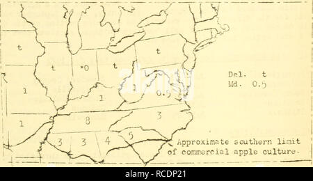 . Krankheiten von Obst und Mutter Ernten in den Vereinigten Staaten im Jahr 1921. Obst Krankheiten und Schädlinge United States; Nüsse Krankheiten und Schädlinge in den Vereinigten Staaten. APPL2; - Bittere rot 27 Krankheit, sondern die Mitarbeiter in den übrigen bittere rot Mitgliedstaaten durchschnittlich Nr eine größere Menge th&amp; n im letzten Jahr. Es sollte daran erinnert werden, dass es in dieser bitteren rot Gürtel, der das Erntegut v/als sehr stark beschädigt und sogar in vielen Fällen durch die Feder friert vvas ruiniert. Folglich ist die Ausbeute an Äpfel war sehr niedrig und es war ein allgemeiner Mangel an Interesse an der Frucht. Das Einfrieren Schäden, eine allgemeine Einstellung der Spray Stockfoto