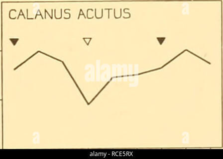 . Entdeckung berichten. Discovery (Schiff); Wissenschaftliche Expeditionen; Ocean; Antarktis; Falkland Inseln. 2000 -. 00 04 08 12 il 20 00 04 08 00 04 08 12 16 20 00 04 08 00 04 08 12 16 20 00 04 08. Bitte beachten Sie, dass diese Bilder sind von der gescannten Seite Bilder, die digital für die Lesbarkeit verbessert haben mögen - Färbung und Aussehen dieser Abbildungen können nicht perfekt dem Original ähneln. extrahiert. Institut der ozeanographischen Wissenschaften (Großbritannien); Nationales Institut für Meereskunde von Großbritannien; Großbritannien. Colonial Office. Entdeckung des Ausschusses. London; New York: Cambridge U Stockfoto