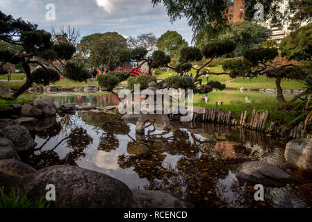 Münzen in einem kleinen japanischen Teich mit Reflexionen Stockfoto