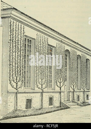 . Die Veredelungen und ihre Anwendung für die verschiedenen Bäume und Sträucher: theoretische und pratische Belehrungen über das Ablaktieren, Pfropfen und OKULIEREN, u.s.w., sowie über die Anzucht und Veremhrung der holzigen, im Freien aushaltenden Gewächse, mit einem Anhang, Winke zur rationellen Obstkultur, einem Verzeichnis der für die verschiedenen Baumformen geeignetsten Obstsorten und 1963 nach Monaten geordneten Führer für den Gärtner, Baumzüchter und Liebhaber. Pfropfung; Beschneidung; Obst - Kultur. 378 Allgemeine Grundsätze des Baumschnitts. Zahl derer, welche den Baumschnitt ausüben, Stockfoto