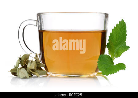 Melisse Tee in ein Glas Schale mit zitronenmelisse Blätter Stockfoto