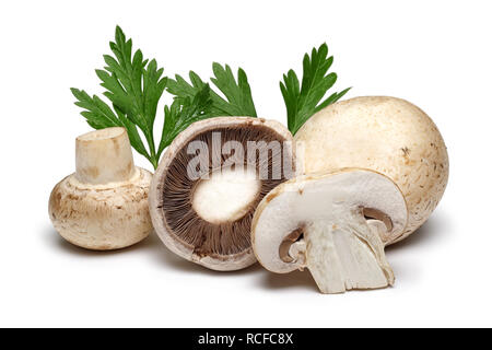 Pilze und grüne Petersilie auf weißem Hintergrund Stockfoto
