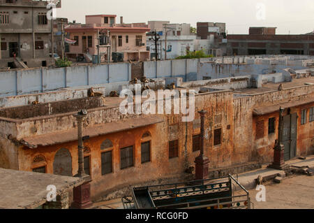 Jaipur/Indien - Juli 2011: Eine Straße in der Stadt Jaipur in Rajasthan, Indien. Stockfoto
